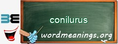 WordMeaning blackboard for conilurus